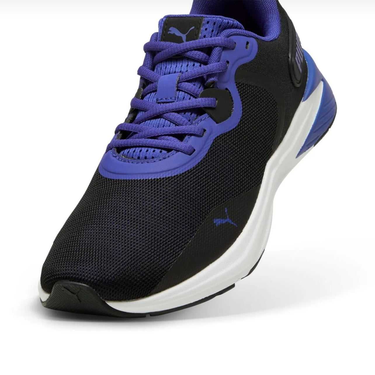Disperse XT 3