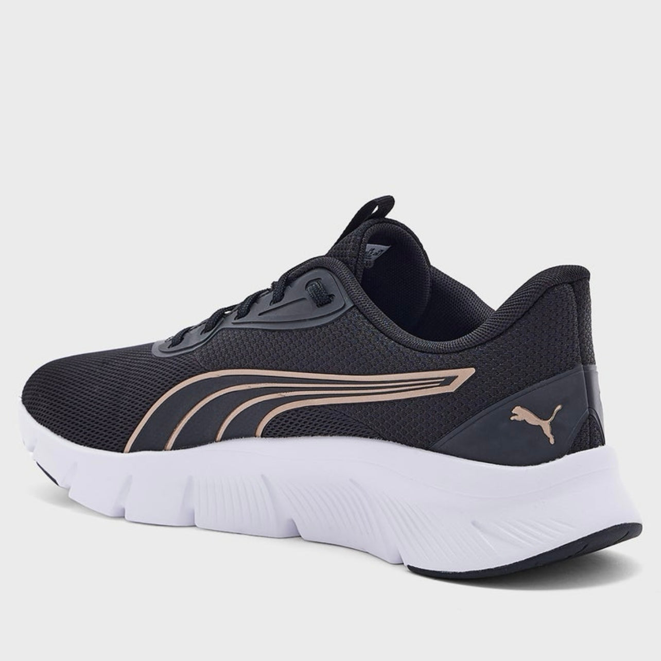 FlexFocus Lite Modern